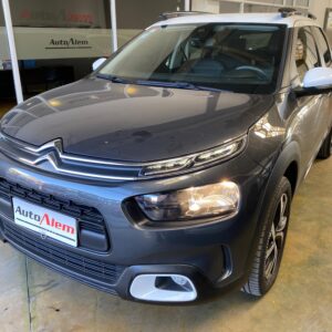 Citroen C4 Cactus Shine At Año 2019